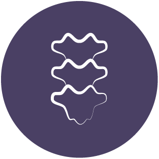 A minimalist white outline of three vertebrae within a purple circular background, representing spinal health or mobility.